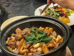 -滇野云南野生菌餐厅(陕西南路店)