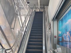 -新荟城(望京店)