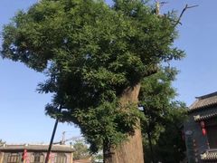 -青州古城