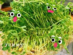 -常赢三兄弟·清真涮肉·清真炒菜(朝阳新城店)