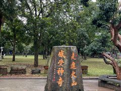 -海口火山口国家地质公园