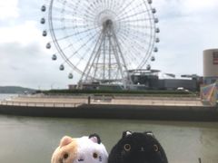 -琴岛之星摩天轮