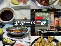 -京门活鱼馆·鱼火锅(百子湾（原红庙）店)