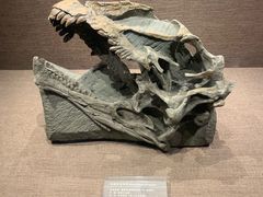 -自贡恐龙博物馆