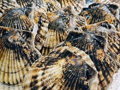 -三亚火车头万人海鲜广场