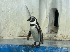 -太平洋海底世界