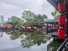 -侨美·唐荔园·40年地道粤菜