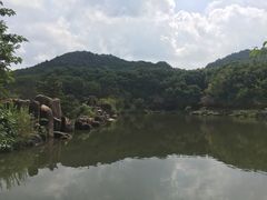 -白马涧龙池景区