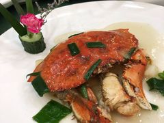-中国饭店-餐厅