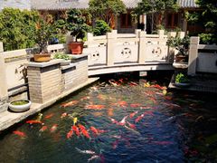 -顺德了能馆(虎门店)