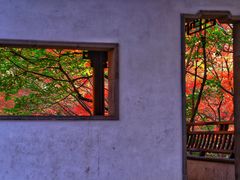 -秋霞圃