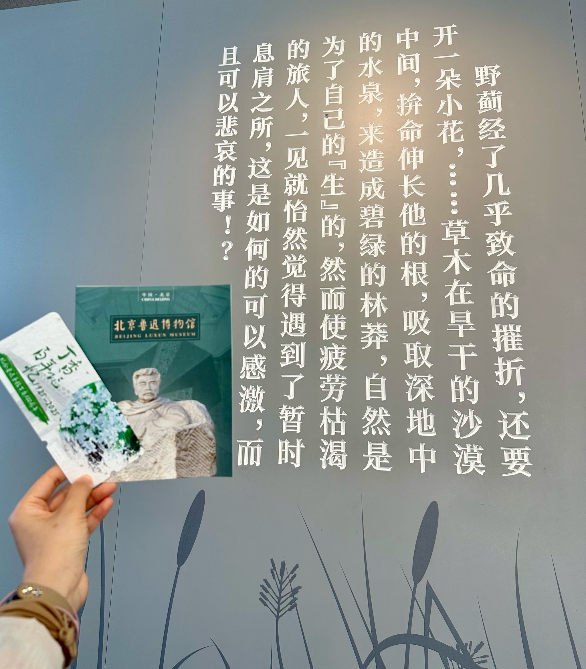 https://qcloud.dpfile.com/pc/yInuF6zMnHBs-owV5ZsO9c0OqD1oy425MZv64owR4P8WpP0NqJ1QJ3t2iPjF2g_RY0q73sB2DyQcgmKUxZFQtw.jpg