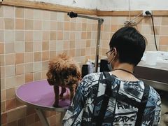 -宠颐生汉谟拉比宠物医院
