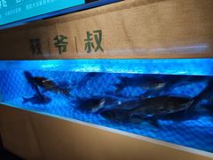 -筱爷叔·上海传统手工菜(玉树路店)