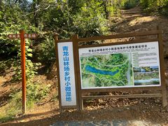 -青龙山国家森林公园