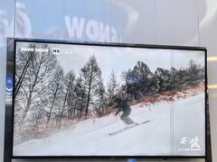 -Hopo Snow 城市滑雪空间(来福士广场购物中心店)