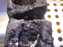-东门町美食街