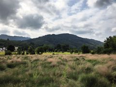 -塔川景区