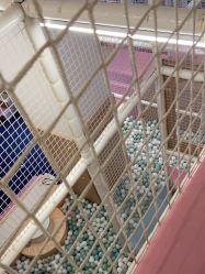 -超级奈尔宝SUPER NEOBIO(杭州星光店)