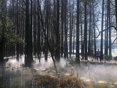 -东湖落雁景区