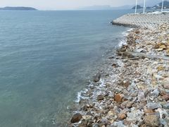 -七鲜渔港美食餐厅(巽寮湾海景店)