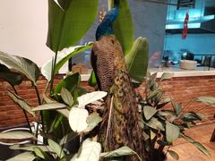 -八闽饭店闽南小镇(铁西店)