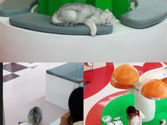 -福田卓悦INTOWN购物中心