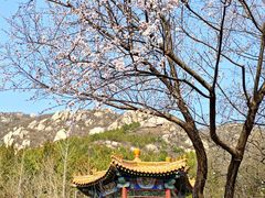 -北京凤凰岭