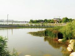 -西安世博园