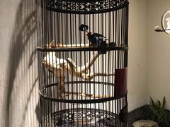 -清真·京华源铜锅涮肉(丰庆店)