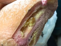 火龙果仙人掌-野上麦田(中贸广场店)