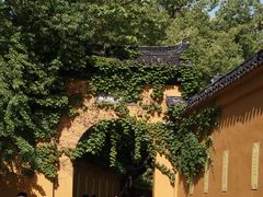 -西园戒幢律寺