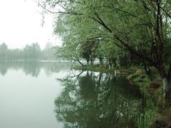 -洋湖国家湿地公园
