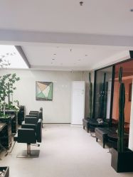 -付军剪艺JF ProSalon