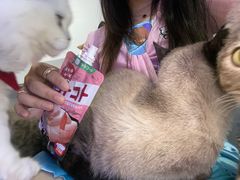 -极木²邸 人与宠物·互动社区