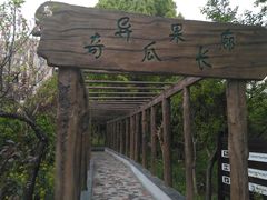 景点-南汇桃花村