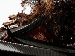 -颐和园