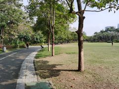 -荔香公园
