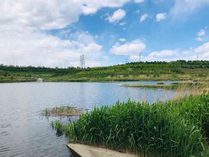 西郊砂石坑公园"今天又来到这里,因为刚下完雨,这里的空气.