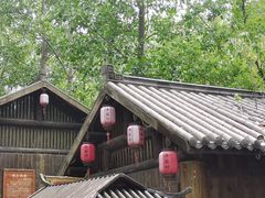 -合肥滨湖国家森林公园