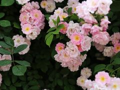 -白鹭湾湿地公园