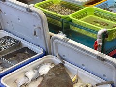 水产区-老胶东家常菜馆(市场一路店)