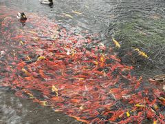 -水磨沟公园