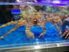 -盒马X会员店(王府井奥莱UP TOWN店)