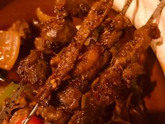 -福苗小骆驼烧烤(莲湖路店)