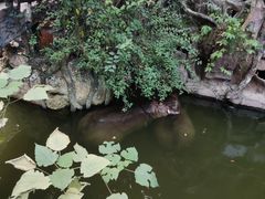 -长鹿旅游休博园