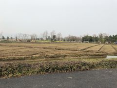 -径山花海