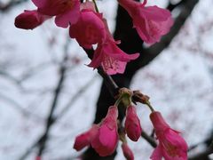 -乌山风景区