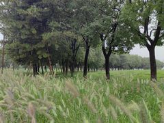 -汉长安城未央宫国家考古遗址公园