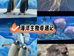 -重庆欢乐海底世界